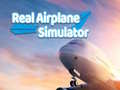 Gra Real Airplane Simulator