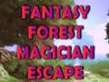 Gra Fantasy Forest Magician Escape