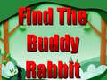 Gra Find The Buddy Rabbit