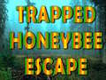 Gra Trapped Honeybee Escape