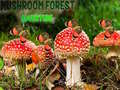 Gra Mushroom Forest Adventure