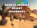 Gra Camels Release Desert Discovery