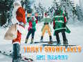 Gra Ski Resort Hidden Snowflakes