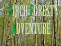 Gra Birch Forest Adventure