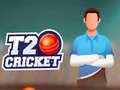 Gra T20 Cricket