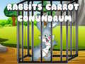 Gra Rabbits Carrot Conundrum