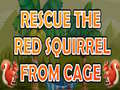 Gra Rescue The Red Squirrel From Cage
