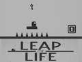 Gra Leap of Life