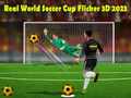 Gra Real World Soccer Cup Flicker 3D 2023