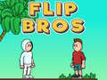 Gra Flip Bros