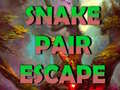 Gra Snake Pair Escape
