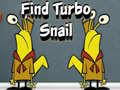 Gra Find Turbo Snail