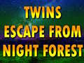 Gra Twins Escape From Night Forest