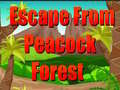 Gra Escape From Peacock Forest