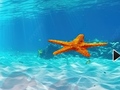 Gra Escape From Underwater Starfish