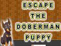 Gra Escape The Doberman Puppy