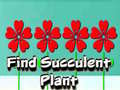 Gra Find Succulent Plant