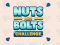 Gra Nuts and Bolts Challenge