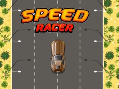 Gra Speed Racer