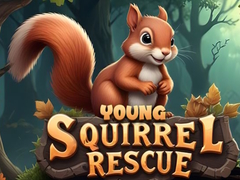 Gra Young Squirrel Rescue