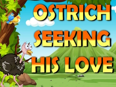 Gra Ostrich Seeking His Love  