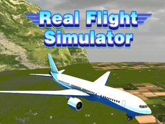 Gra Real Flight Simulator 