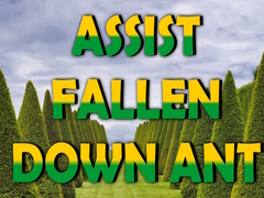 Gra  Assist Fallen Down Ant