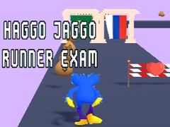 Gra Haggo Jaggo Runner exam