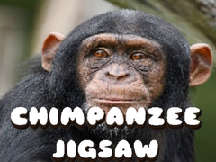 Gra Chimpanzee Jigsaw