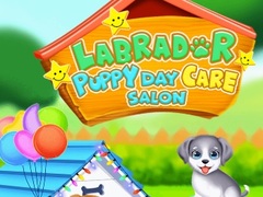 Gra Labrador Puppy Daycare Salon