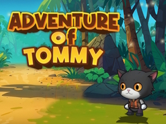 Gra Advanture Of Tommy