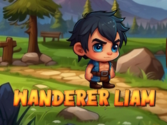 Gra Wanderer Liam