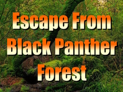 Gra Escape from Black Panther Forest