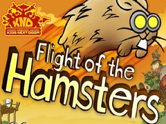 Gra Codename Kids Next Door Flight of the Hamsters