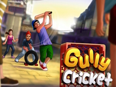 Gra Gully Cricket