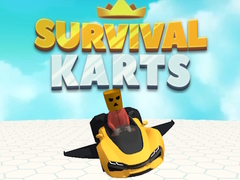 Gra Survival Karts