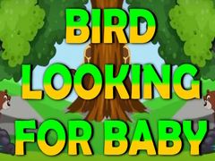 Gra Bird Looking For Baby