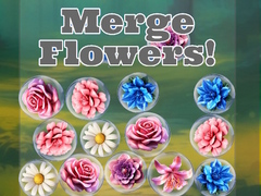 Gra Merge Flowers!