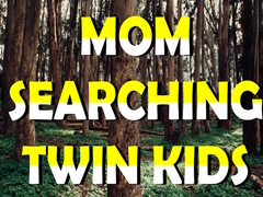 Gra Mom Searching Twin Kids