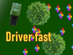 Gra Driver fast