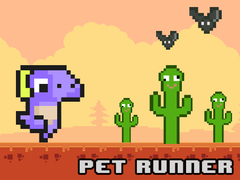 Gra Pet Runner