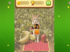 Gra Farm Cat Memory Match