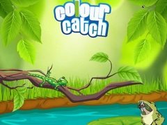 Gra Colour Catch