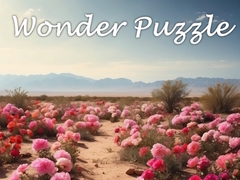 Gra Wonder Puzzle
