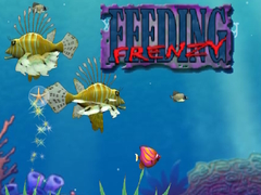 Gra Feeding Frenzy