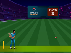 Gra Cricket Night 2