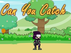 Gra Can You Catch