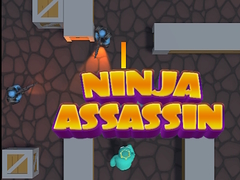 Gra Ninja Assassin