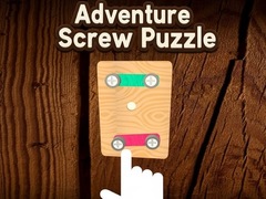 Gra Adventure Screw Puzzle