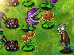 Gra Plants vs Zombies Limited Edition
